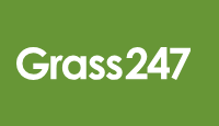 grass 247